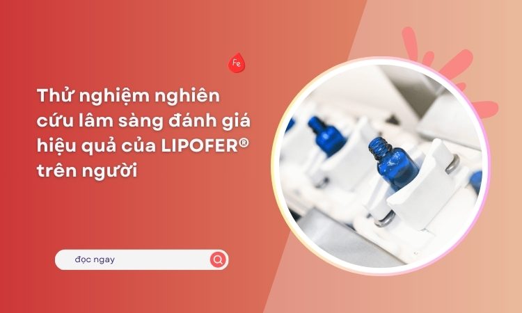 Các thử nghiệm nghiên cứu lâm sàng đánh giá hiệu quả của LIPOFER® trên người